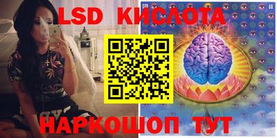 спиды Волгодонск