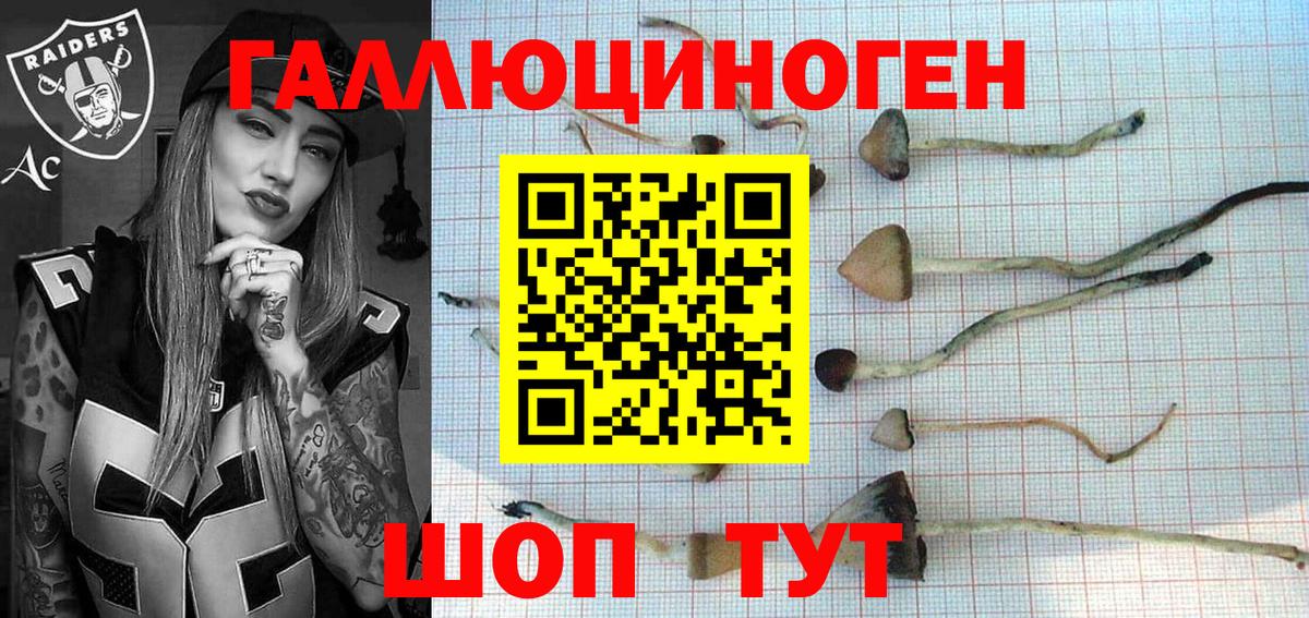 Светлоград  Галлюциногенные грибы MAGIC MUSHROOMS  Вход с VPN  Галлюциногенные грибы прущие грибы 