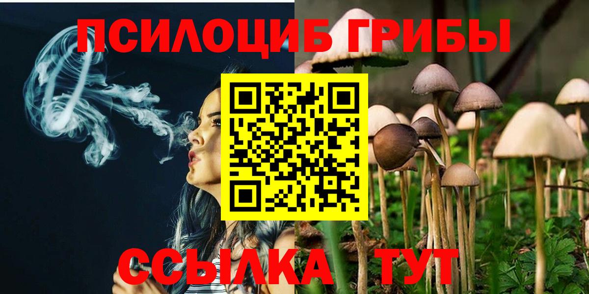 Галлюциногенные грибы Magic Shrooms Светлоград