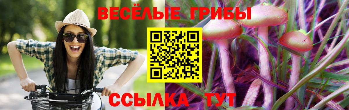 Галлюциногенные грибы Psilocybe  Светлоград  Галлюциногенные грибы MAGIC MUSHROOMS 